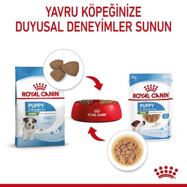 ROYAL CANİN DOG MINI PUPPY 85 GR*12